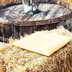 Nocleg ze śniadaniem Tenuta San Rocco