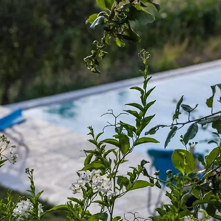 Tenuta San Rocco Отель типа 