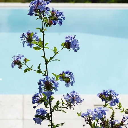 Tenuta San Rocco Отель типа 