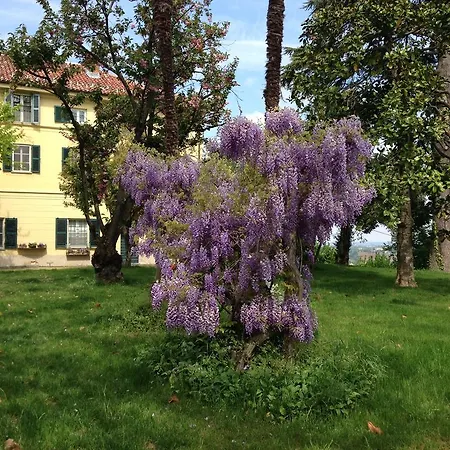 Tenuta San Rocco Отель типа 