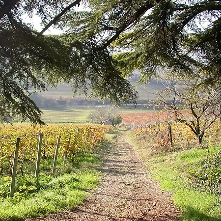 Bed & Breakfast Tenuta San Rocco 3*