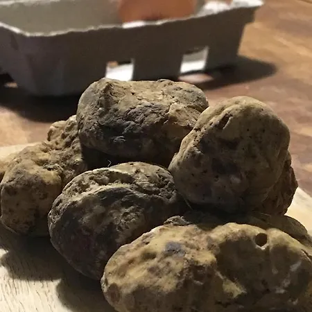 Tenuta San Rocco