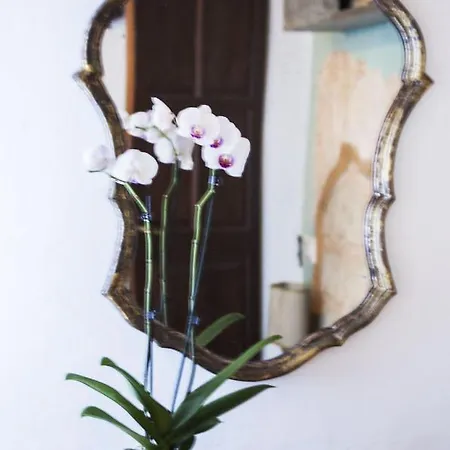 Bed and breakfast Tenuta San Rocco 3*