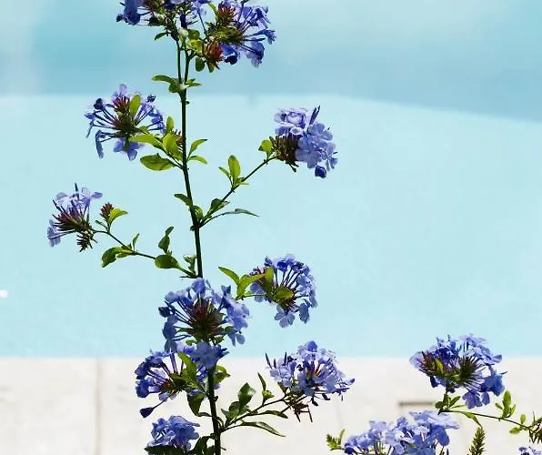 Tenuta San Rocco 住宿加早餐酒店