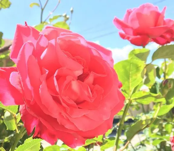 Tenuta San Rocco 3* Conzano