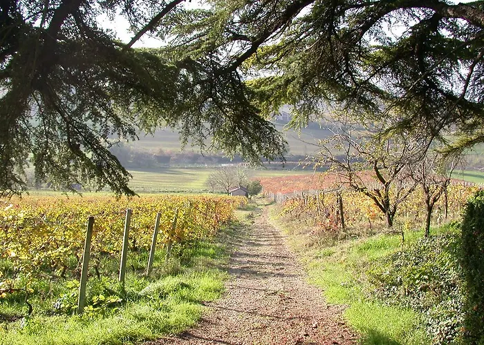 住宿加早餐酒店 Tenuta San Rocco 3*