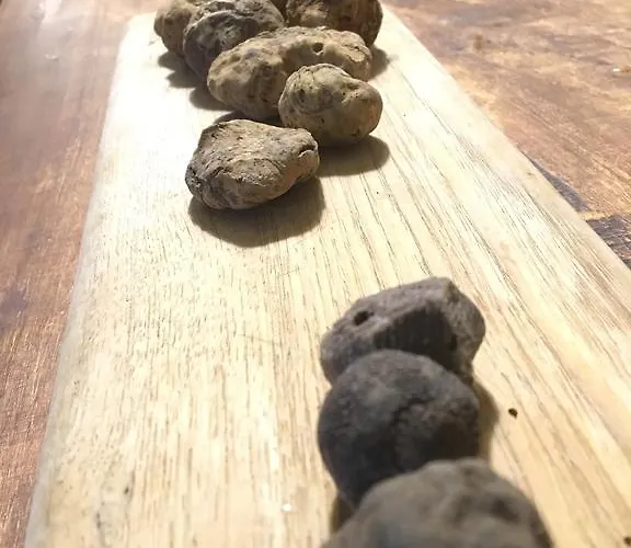 Tenuta San Rocco 3* Conzano