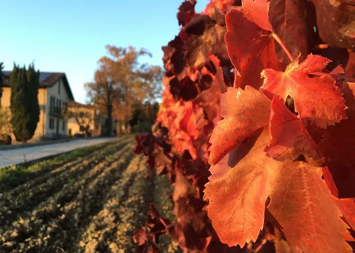 住宿加早餐酒店 Tenuta San Rocco