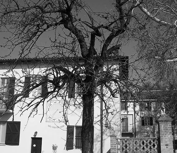 Tenuta San Rocco Conzano